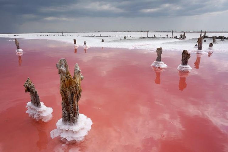 Экологи обеспокоены судьбой соленого озера Сасык-Сиваш