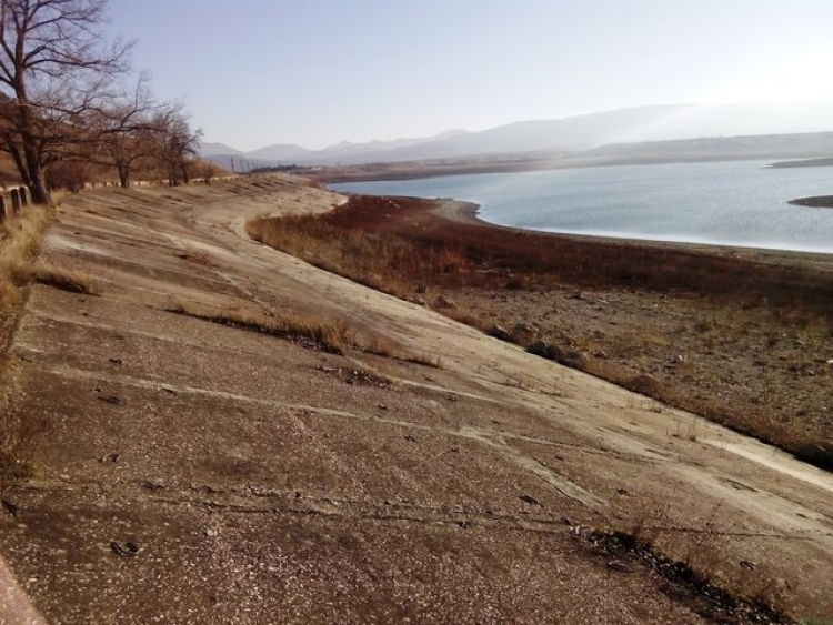 Тайганское водохранилище почти высохло – в сафари-парке не хватает воды