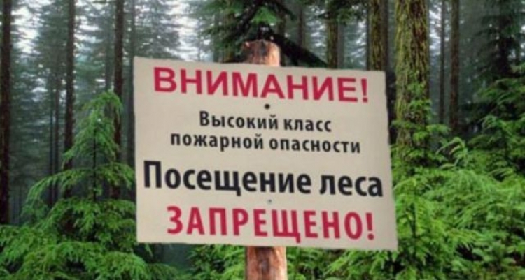 Трехнедельный запрет на посещение леса ввели на Крымском полуострове