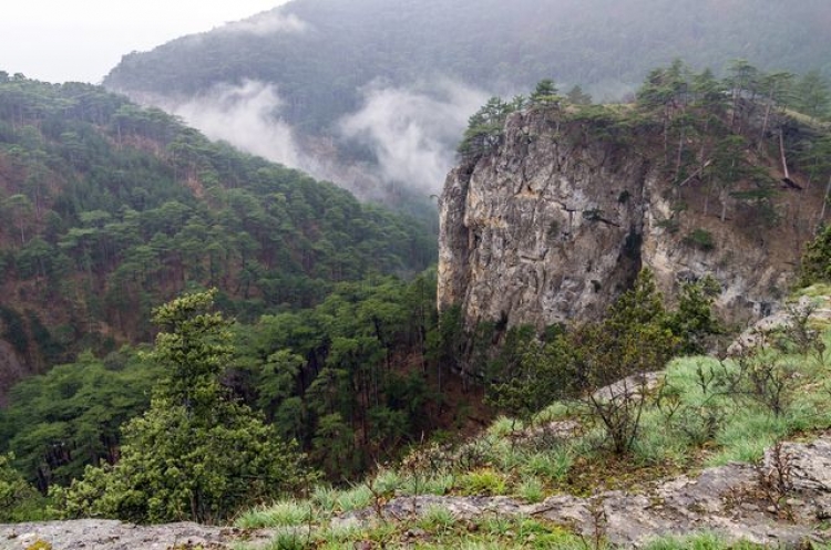 В Крымских горах нашли потерявшихся туристов
