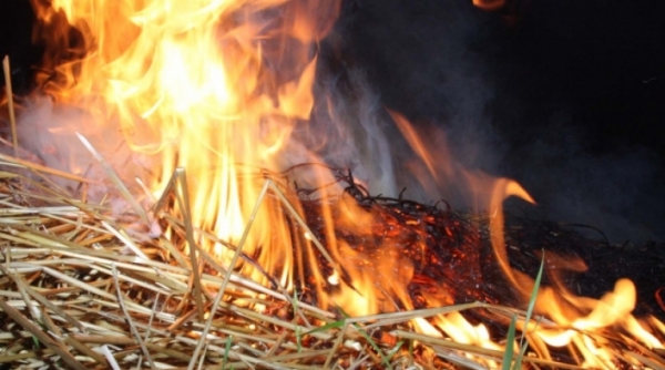 В Первомайском животные остались без сена - все сгорело