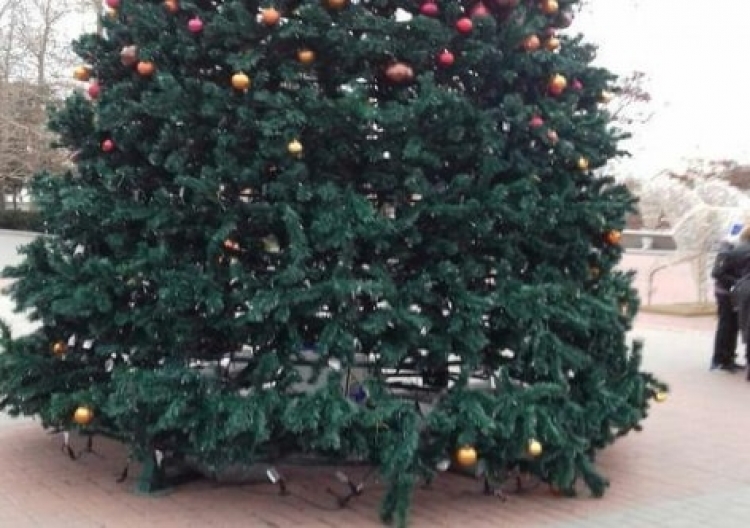 В Севастополе кто-то украл у елки игрушки, а у людей – новогоднее настроение