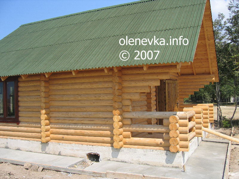 Деревянная новостройка, поместье Попова в Оленевке.