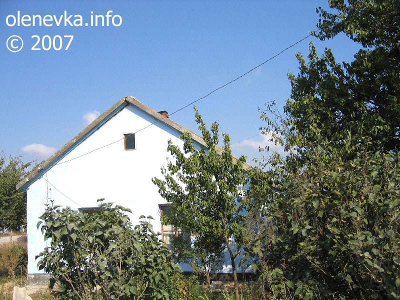 дом № 43, улица Рабочая, село Оленевка