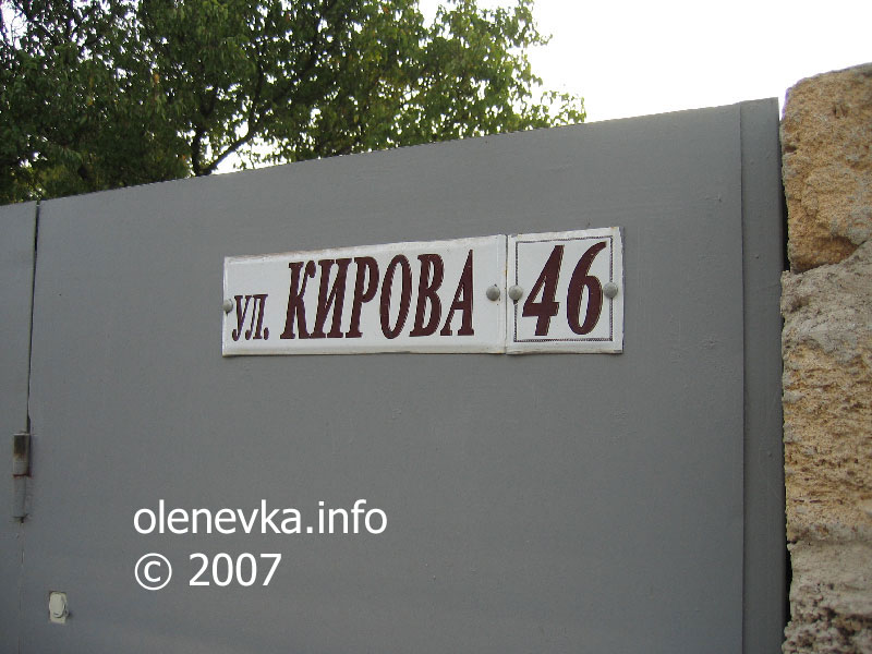 дом № 46, улица Кирова, село Оленевка