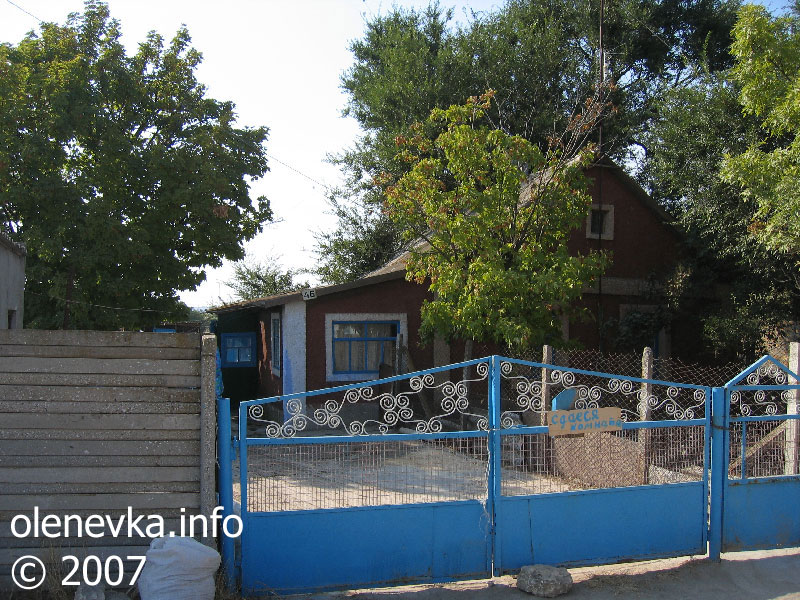 дом № 46, улица Мира, село Оленевка