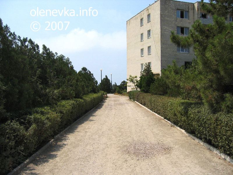 По дороге от дворца к новому корпусу, поместье Попова в Оленевке.