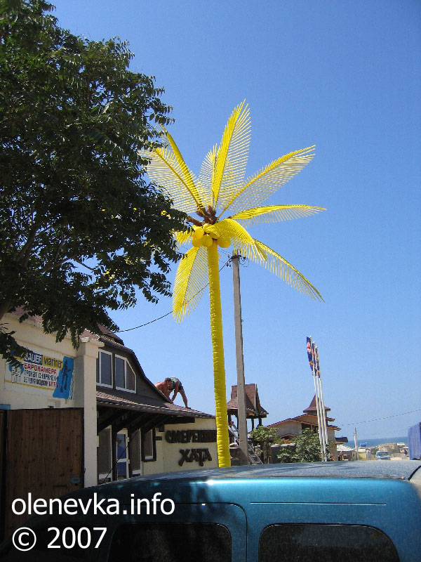 Улица Таврическая - жёлтая пальма