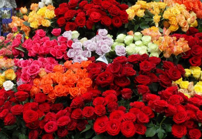 Доставка цветов в Киеве: компания Kvitochka гарантирует отличный сервис!