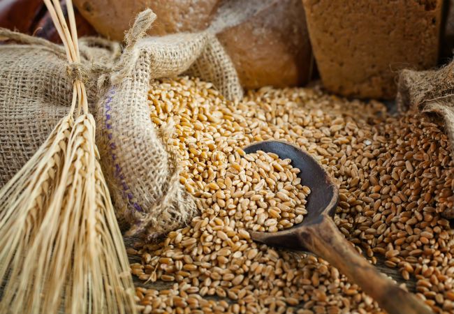 Оптова закупівля зерна в Україні